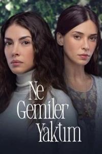 Какие корабли я сжёг - постер