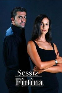 Тихий шторм